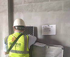 肇慶高新區北部（創(chuàng)新大街以北）劃定區域產業園綜合開發(fā)項目北部羅湖片區一開發(fā)項目-新能源汽車產業園基礎設施配套項目-西縱